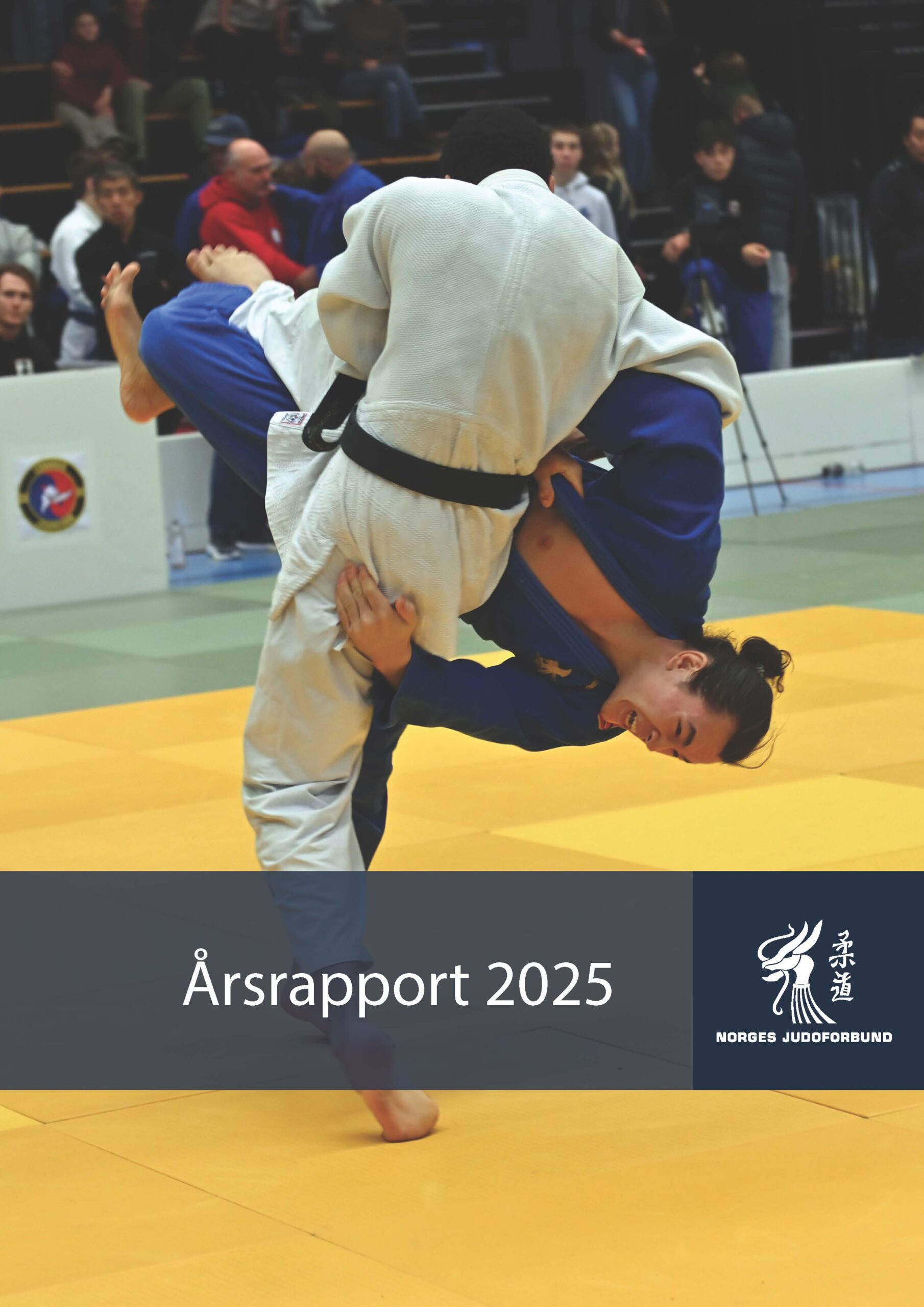 Årsrapport 2025